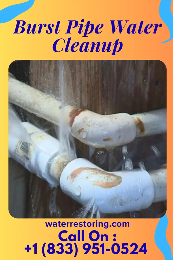 Burst Pipe Water Cleanup in Fairfield, ID